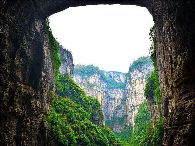 杭州一探险博主翻墙进荒废校园拍视频,最后却喊来消防救援